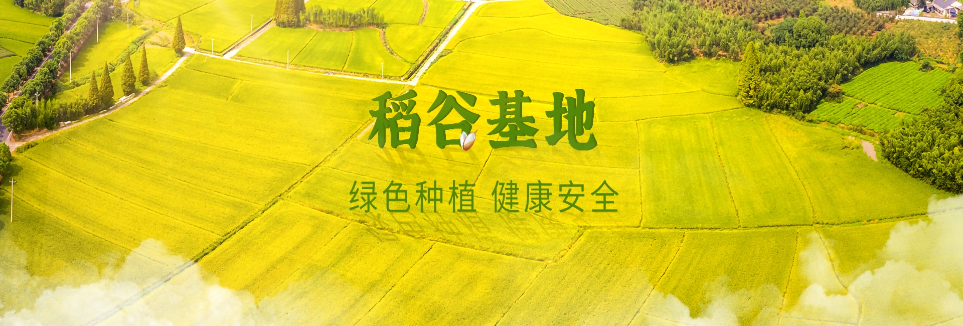 湖北大米廠(chǎng)家