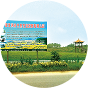 黃金產(chǎn)地 莊園直供