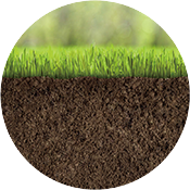 土壤肥沃 氣候適宜