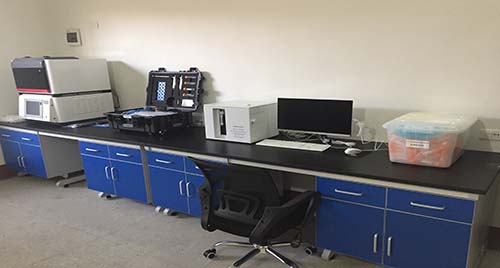 公司按照現(xiàn)代企業(yè)管理制度要